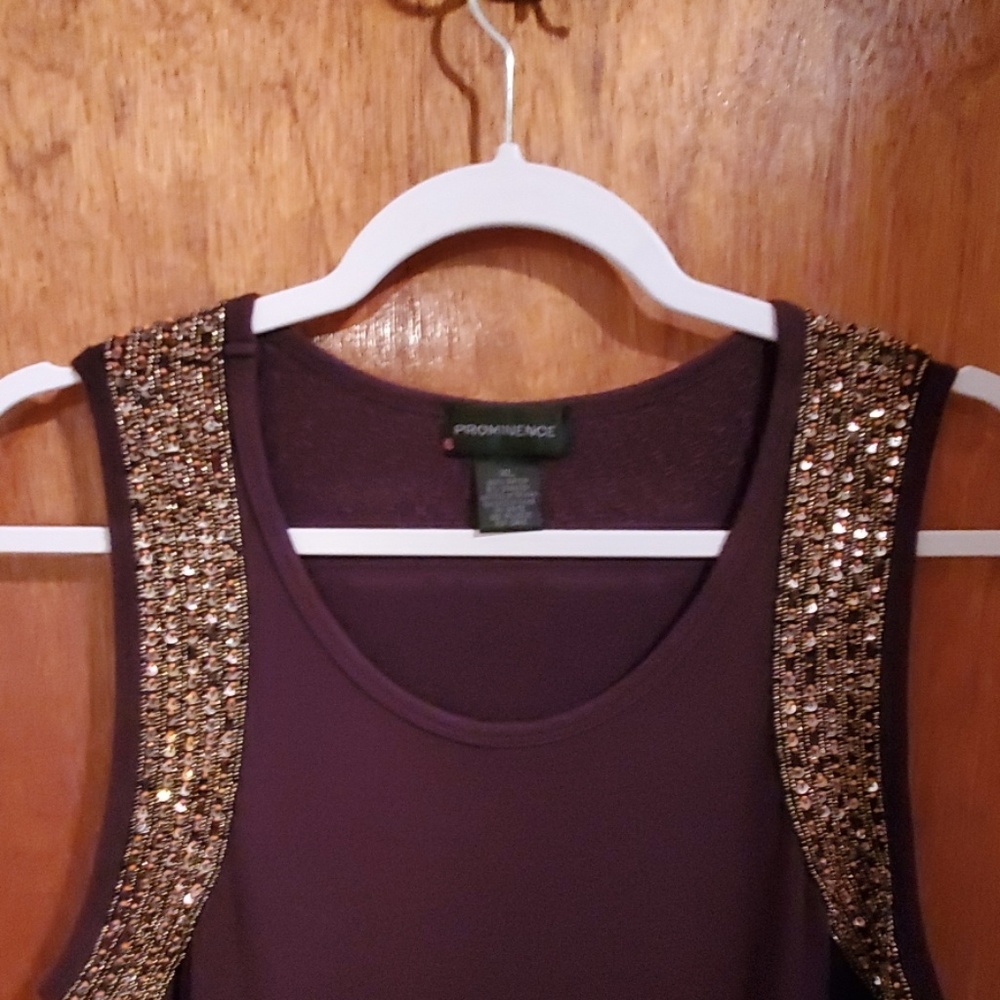 Beautiful Brown sequined top